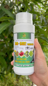 Phân Bón VL GOLDMIX BORVT (11) Hiệu BO-502 THAILAND – Siêu Đậu Trái Chống Rụng Cực Mạnh (Chai 500ml)