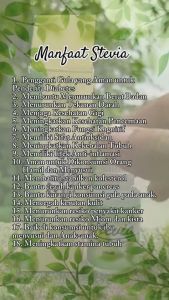 Stevia Cair 15 ML Pemanis Alami Pengganti Gula 0 KALORI 0 GULA | ISI 15 ML | GRATIS EMAS ASLI