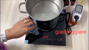 Bếp từ đơn lắp âm Prato PT-1126.S bếp điện đơn công nghệ Inverter tiết kiệm điện bảo hành 2 năm TẠI NHÀ