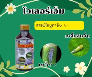 ไวเลอร์เอ็ม 50% W/V EC สารฟีโนบูคาร์บ 500 ซีซี กำจัดเพลี้ยกระโดด เพลี้ยชนิดต่างๆ