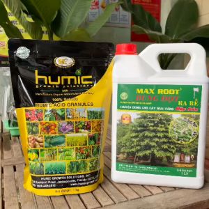 Combo HUMIC MỸ 1Kg (dạng miểng) Và MAX ROOT BUNG ĐỌT 5 Lit– Dưỡng Cây Khỏe Ra Rễ Cực Nhanh Đâm Chồi Mạnh