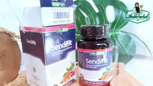 Obat Sakit Tulang dan Persendian - Sakit tulang belakang Nyeri pergelangan tangan pegal Mati rasa pada pergelangan tangan Keseleo Sakit tulang punggung Sakit tulang belikat Pengapuran tulang dan sendi lutut Sakit / Nyeri lutut - SendiFit ASLI