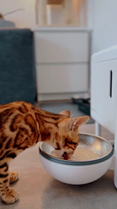Neakasa Riko Fresh-Made Wet Food Feeder | Automatic Smart Cat Feeder | Mesin Makan Kucing Wet Food