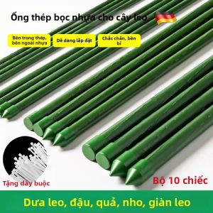 iGOOD-LIVING | Khung Hỗ Trợ Cho Cây Leo