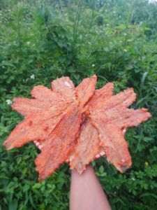 500gram Khô cá mối phi lê rút xương Food vị mặn ngọt vừa ăn