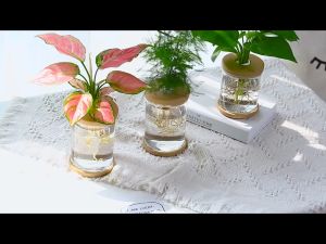 Nordic Glass Bottle Decoration Hydroponic Transparent Plant Minimalist Flower Vases Home Office Decoration