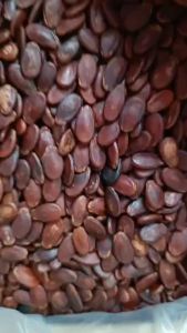 Hạt dưa sạch không nhuộm màu