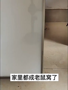 Hanya beberapa pil mencukupi untuk menyelesaikan masalah ini penghalang kutu pil penghalang kutu dalaman yang kuat penghalang kutu deodorant bola pepejal tahan lama digunakan