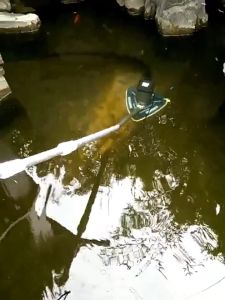 🔥สายไฟ 10 ม🔥เครื่องดูดน้ำเสีย เครื่องทำความสะอาดสระว่ายน้ำ เครื่องดูดน้ำเสียอัตโนมัติ ครื่องดูดฝุ่นใต้น้ำ กันน้ำ การดูดน้ำเสียที่มีประสิทธิภาพการทำความสะอาดใต้น้ำ ทำความสะอาดง่ายและการติดตั้งเครื่องสกัดโคลน เครื่องดูดซับอุจจาระ