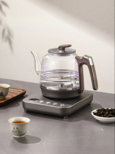 Biooner | Automatic Water Pump Tea Maker