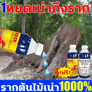 หยดเดียวรากเน่า ยาฆ่าต้นไม้ใหญ เข้มข้นสุด100mlยาฆ่าไผ่ 1ฟรี ตรงไปที่ราก รากเน่ารากตาย ยาฆ่าตอไม้ใหญ่ บอกลาการตัดต้นไม้ด้วยตนเอง ยาฆ่าไม้ไผ่ ยาฆ่าต้นไม้ เหมาะสำหรับกำจัดวัชพืช ไม่เป็นอันตรายต่อดิน สารกำจัดกอไผ่