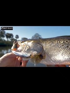 3D Crystal Minnow 11cm 16g Wobblers Fishing Lures Deep Diving Artificial Hard Bait Trolling Boat Sea Fishing Bass Pike Lure