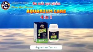 Vi Sinh Aquarium Care 4 in 1 - Làm Trong Nước - Khử Mùi Hôi Tanh trong hồ cá