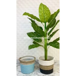 Pohon Artificial Tanaman Imitasi Sri Rejeki Latex Pot Dasar Cover Anyaman Seagrass Handle Dekorasi Ruangan