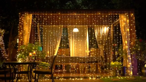 AKO Christmas Lights Water Proof Up 50 LED Multicolor with 8 Modes Indoor & Outdoor Light FASTDELIVERY & LIMITED STOCK