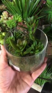 ต้นไม้ปลอมมินิมอล สวนขวดแก้ว สวนโหลแก้ว Artificial terrarium ต้นไม้ปลอม ต้นไม้ปลอมในบ้าน - Lazada