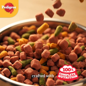 PEDIGREE Dog Food Dry – MINI Small Breed Dog Food for Adult Dogs in Chicken Liver and Vegetable Flavor 1.3kg.