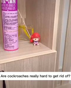 Safe & Non-Toxic Cockroach Repellent Magic Box