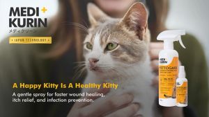 [PERCUMA Spray Odor Remover] 2x PettoGard Spray Antimikrobial Untuk Penjagaan Kulit & Rawatan Luka Kucing 500ml (Cepat sembuh untuk jangkitan kurap fungus alahan & bintik merah) [MEDIKURIN]