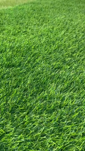 (แบบแบ่งตัด) หญ้าเทียม 4 cm รุ่นขนหนาแน่น เคลือบกัน UV ใช้งานกลางแจ้ง เริ่มต้น 2 ตร.ม แต่งสวน สนาม