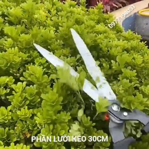 Kéo xén tia hàng rào SK5 JAPAN kéo cắt cành trên cao thiết kế tăng giãn dài 95cm