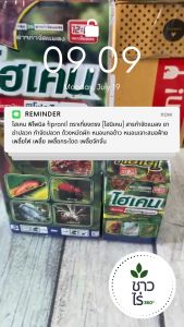 ไฮเคน 100 มิลลิลิตร ฟิโพนิล fipronil ตราเที่ยงตรง [ไฮนิเคน] สารกำจัดแมลง ยาฆ่าปลวก กำจัดปลวก ด้วงหมัดผัก หนอนกอข้าว หนอนเจาะสมอฝ้าย เพลี้ยไฟ เพลี้ย เพลี้ยกระโดด เพลี้ยจักจั่น