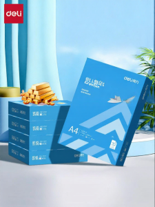deli | Printing and Copying A4 Paper 1 Box (2500 Sheets)