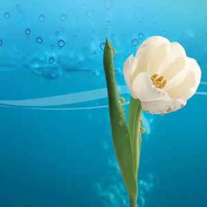 [500 ML] CAIRAN SOFTLENS X2 500 ML / CAIRAN PEMBERSIH LENSA KONTAK