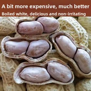 WENXIANGZAN | Salted Sun-Dried Boiled Peanuts Soft and Crispy with Garlic and Five Spices
