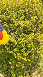 LOẠI LỚN- Combo Cứu hộ ô tô Tam Giác Cảnh Báo Đèn Led Ô Tô ba bóng đèn độ sáng cao I HOTACO