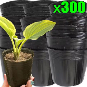 300ชิ้น กระถางเพาะชำ / กระถางเพาะชำพลาสติกหนา / กระถางเพาะชำ / ภาชนะใส่ดอกไม้สำหรับต้นกล้าไม้อวบน้ำ / อุปกรณ์ทำสวนในบ้าน