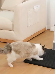 KS Fitness Cat Litter Mat size 40x50cm and 55x70cm EVA Double Layer Cat Litter Mat Pet Cleaning Supplies Solid Color Mat
