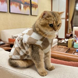 Warm Fleece Vest Coat for Cats Pet Clothes Anti Shedding Gradient Color Short Hair Cat Clothes for Autumn And Winter