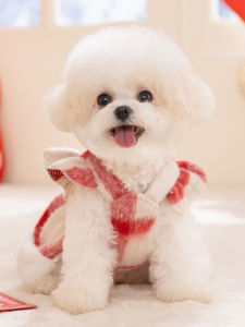 hipidog | Winter Cotton Coat for Small Dogs