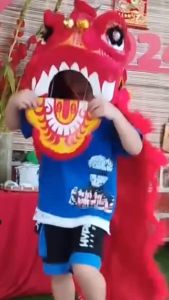 Đầu Lân Lớn cho bé (bao gồm đuôi kim sa 2 lớp/ vải lụa phi bóng) mắt chớp đèn Shop tặng kèm pin