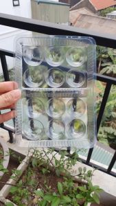 Set 50 khay đựng bánh Trôi Không Nắp - 1 khay 12 viên- Khay khoai môn ko nắp