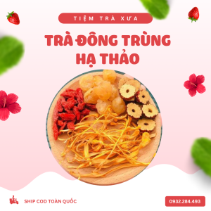 TRÀ ĐÔNG TRÙNG HẠ THẢO TỨ VỊ - TĂNG CƯỜNG SỨC KHỎE - Tiệm Trà Xưa - Trà hoa thảo mộc - Trà dành cho mọi người