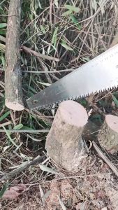 เลื่อยตัดไม้ MUSCLE COW เลื่อยมือ เลื่อยกิ่งไม้ มีสองขนาด 20" และ 22" เลื่อยตัดไม้ เลื่อย  ตัด กิ่งไม้ พร้อม ด้าม 4 เมตร ยาว