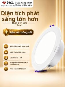 Bull | High Brightness Large Power Commercial Ceiling Light