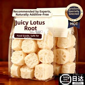 JINLANSI | Zero Fat Dried Konjac Noodles Absorbent