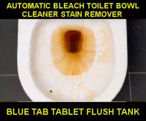 10 PCS / 50 PCS Solid Toilet Cleaner Automatic Blue Ball Cleaning Toilet Expert