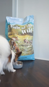 [500g - 2kg] Hạt Cho Chó Taste of the Wild Các Loại Mọi Lứa Tuổi