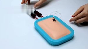 Intravenous Injection Training Model Skin Blood Return Puncture Module Intramuscular Injection Simulation