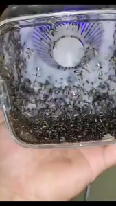 【update】 Mosquito catcher high-tech mosquito catcher smart insect killer and USB charging port night light