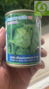 ผักกาดหอม จอร์เจีย953 (20กรัม  100 กรัม ) เพื่อนเกษตรกร