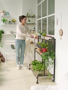 Indoor & Outdoor Plant Stand Tiered Flower Shelf