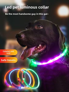 VOA | Light-up Dog Collar for Small Dogs