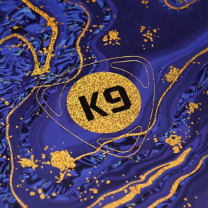 EPZ K9 Headphones 1DD+8BA Hybrid Drivers HiFi IEMS 4.4mm Replaceable Plug Wired Monitor 6N Single Crystal Copper Earphone Cable