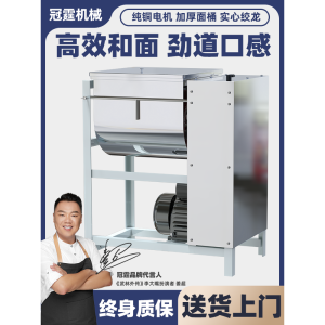 Stainless Steel Commercial Pasta Maker Imported from Germany Automatic 25kg Dough Mixing Machine for Professional Chef