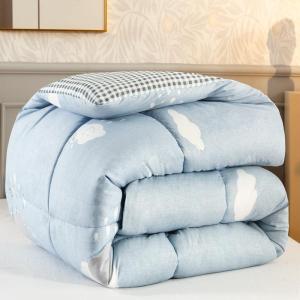 Warm Thick Water Washed Cotton Quilt